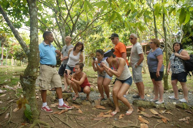 Safari Tour from Punta Cana - Meeting rural life at a local school