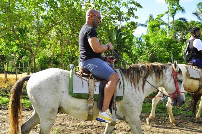 Safari Tour in Punta Cana todo el dia una Aventura inolvidable - Who will enjoy this outing most