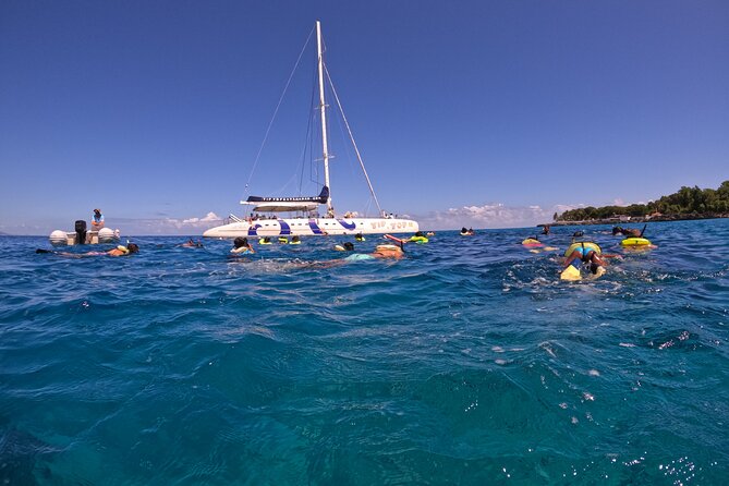 Sailing Catamaran Excursion - Key points to know before booking