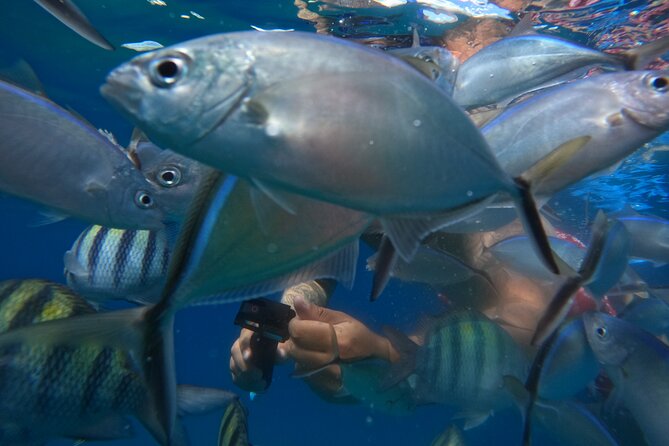 Sailing Catamaran Excursion - Who will enjoy this catamaran trip most
