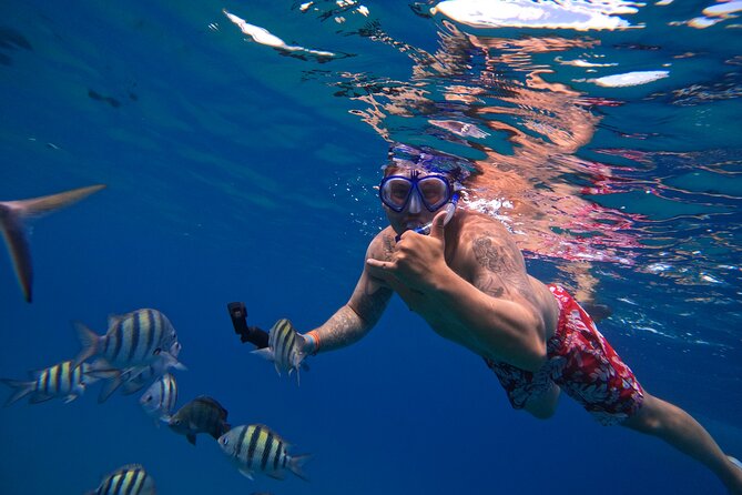 Sailing Catamaran Excursion - Snorkeling off Sosua Beach