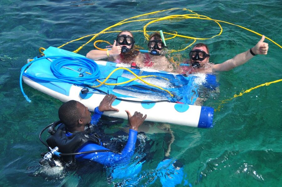 Sailing Splash Tour Speedboat, Snorkel, and Catamaran - Sharks, stingrays, and the limits of an animal encounter