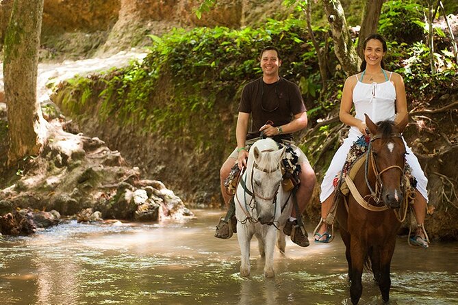 Samana: Bacardi Island and El Limon Waterfall - Horseback riding through the forest to El Limon