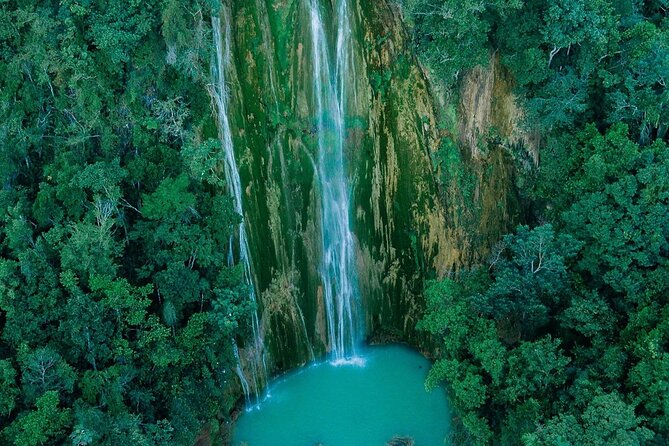 Samana + Cayo Levantado + Horseback Riding from Punta Cana with Lunch - Horseback riding through coffee and cocoa plantations