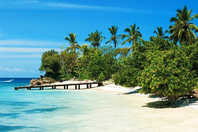 Samana + Cayo Levantado + Horseback Riding from Punta Cana with Lunch - El Limón Waterfall and lunch at the base
