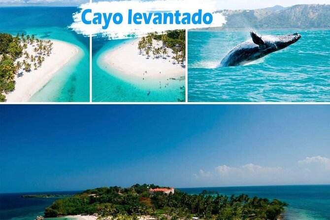 Samana Full Day -baracardi island, horses, lemon waterfall - Key points before you book