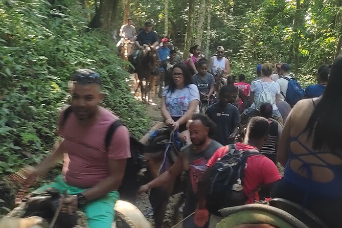 Samana Full Day Waterfall, Safari and Beach - What the $110 price really covers