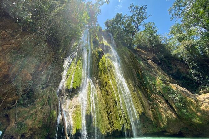 Samana Full Day Waterfall, Safari and Beach - Whale watching on Samaná Bay