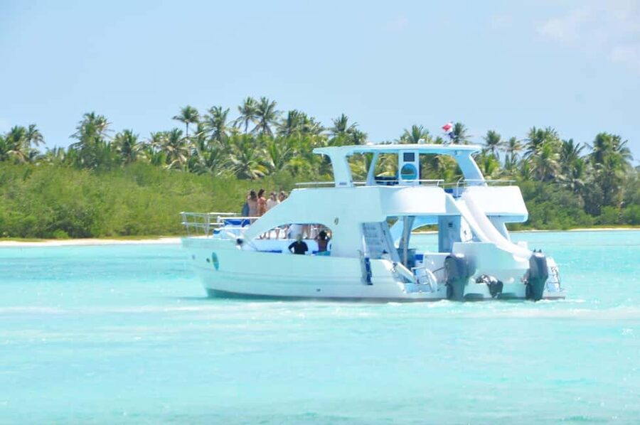 Samana: Half Day Whale Watching Humpback Whale Watching - Riding the catamaran into the sanctuary