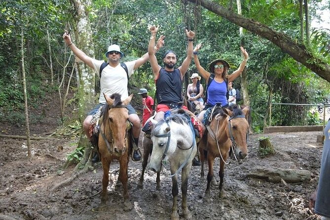 Samana - Key Levantado - Limon Waterfall - Horseback Riding - Who will enjoy this tour most