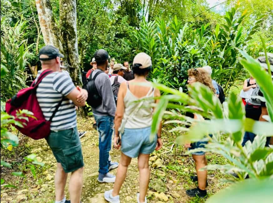 Samana: Los Haitises National Park & Caño Hondo Day Tour - Exploring Los Haitises by small boat