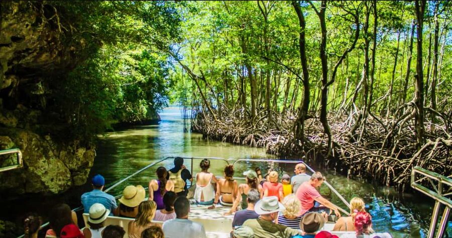 Samana: Los Haitises National Park & Cayo Levantado Tour - Los Haitises and its limestone islands