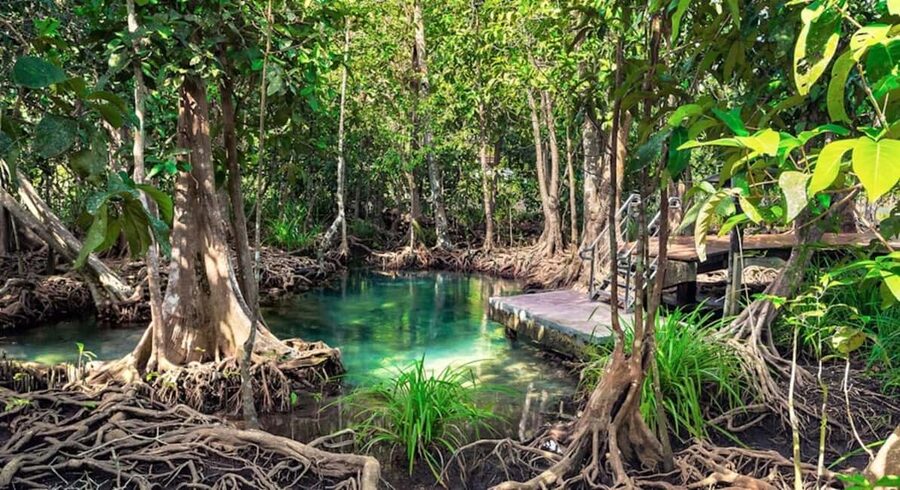 Samana: Visit Samana, Los Haitises Park, and Cayo Levantado Island - Entering Los Haitises National Park