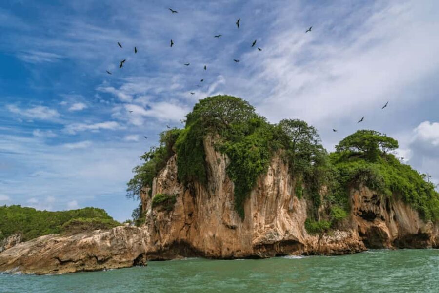 Samana: Visit Samana, Los Haitises Park, and Cayo Levantado Island - Taíno art inside La Cueva de la Arena and La Cueva de la Línea