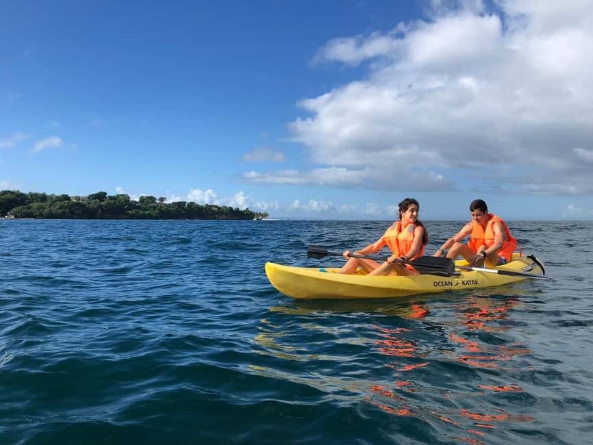 Samaná: Whale, Cayo Levantado, & Kayak in Samaná Bay Tour - Should you book the whale and kayak tour?