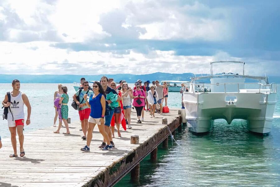 Samanà Whale Watching and Bacardi Island Tour From Bayahibe - How to prepare for an early, active day