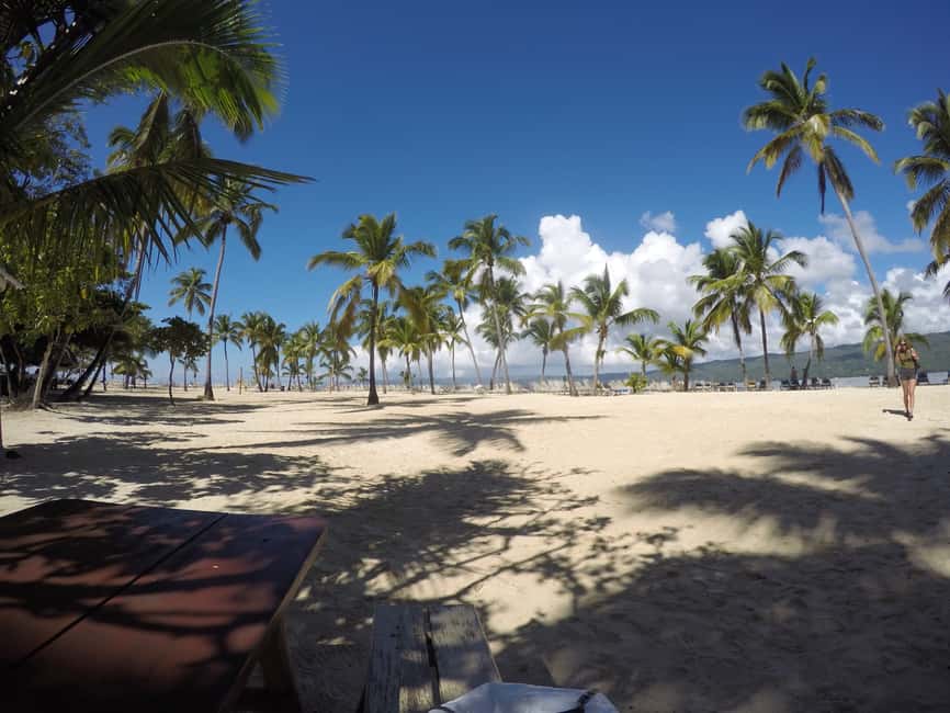 Samana: Whale Watching Tour - The whale watching: the reason to go