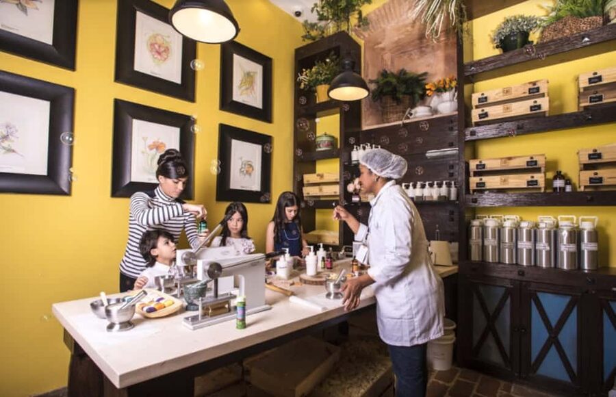 Santo Domingo: Chocolate Tour + Optional Workshops - Meeting Cacao in the Plantation Room