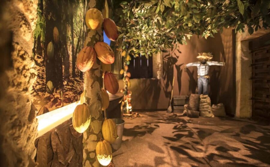 Santo Domingo: Chocolate Tour + Optional Workshops - Is $21 a Fair Price?