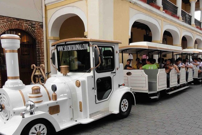 Santo Domingo City Tour: History of the Caribbean - Guide quality and language are central to the experience