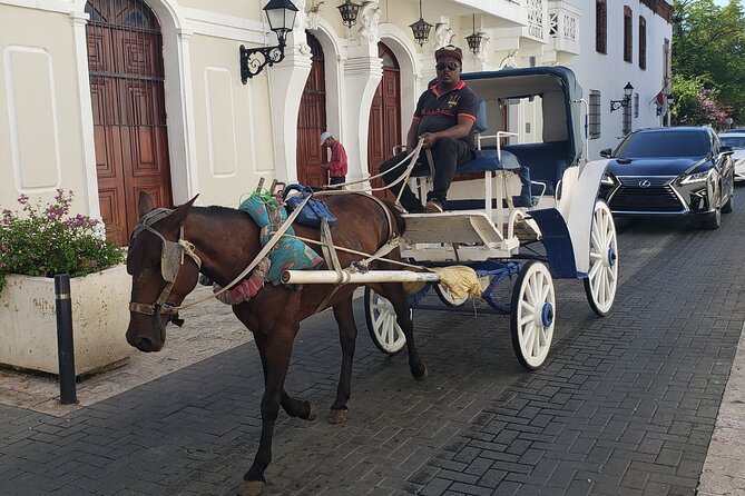 Santo Domingo City Tours Full Day From Punta Cana - The Cathedral Primada de América