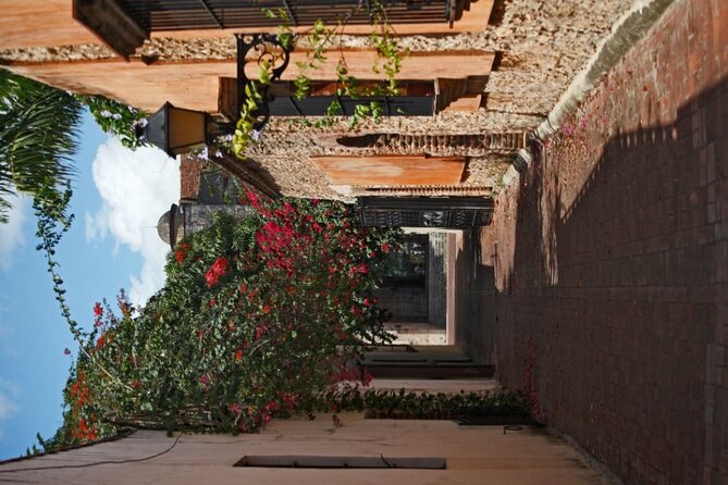 Santo Domingo Full Day Tour with Lunch and Cultural Insights - A guide-led view of Dominican culture