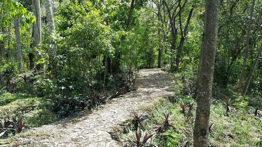 Santo Domingo: Natural Treasures of the City - Who will get the most from this outing?