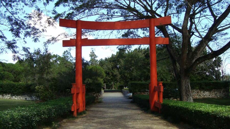 Santo Domingo: Natural Treasures of the City - Walking through Santo Domingo’s Botanical Garden