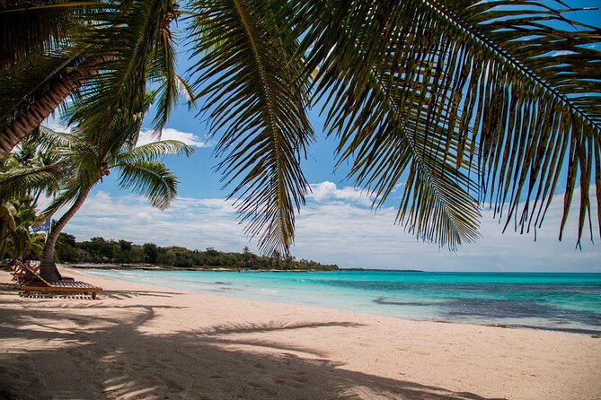 Saona Catamaran Cruise with Lunch and Natural Swimming Pool - Guides can rescue a complicated day