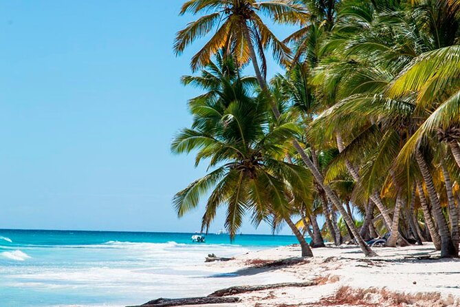 Saona Catamaran Cruise with Lunch and Natural Swimming Pool - Bayahibe is the gateway to Saona Island