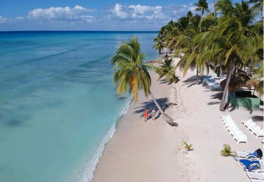 Saona Island all day with lunch and open bar departing from Punta Cana - Key points to know before you book