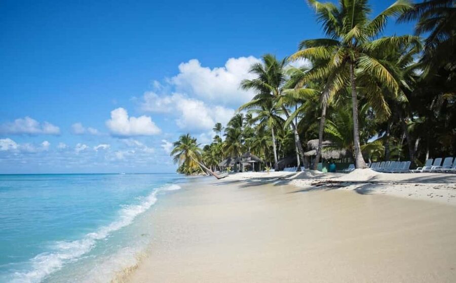 Saona Island all day with lunch and open bar departing from Punta Cana - One hour at the Saona natural pool