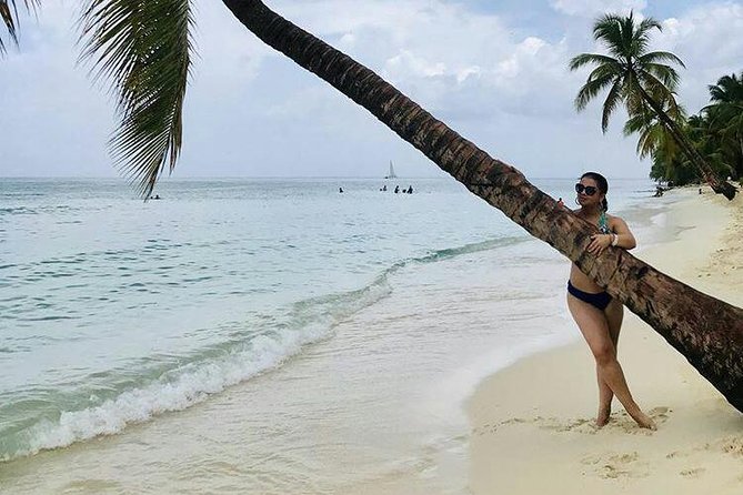 Saona Island All Inclusive Punta Cana - Why Saona Island makes this a popular Punta Cana day trip