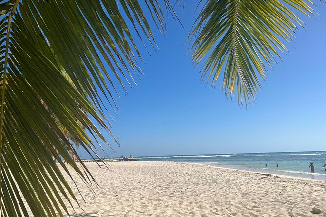 Saona Island and Chavon River Tour with Lunch and Drinks - Lunch, snacks, and the value of the open bar