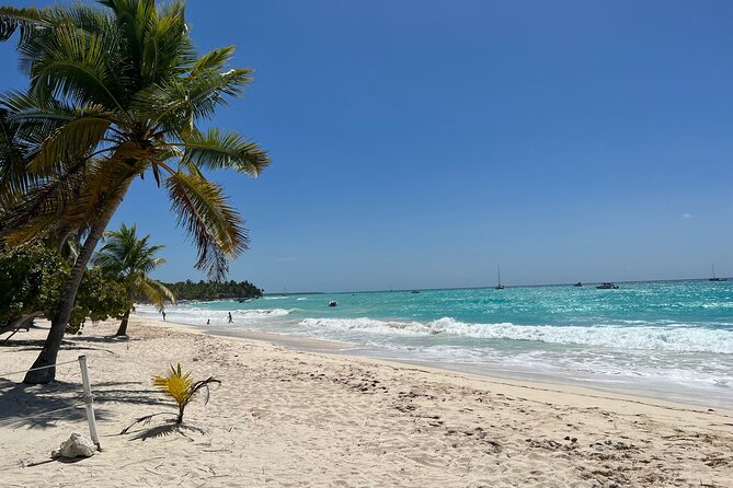 Saona Island and Chavon River Tour with Lunch and Drinks - The speedboat is the deciding factor