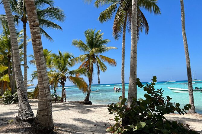 Saona Island and Chavon River Tour with Lunch and Drinks - Marina Casa de Campo offers a polished contrast