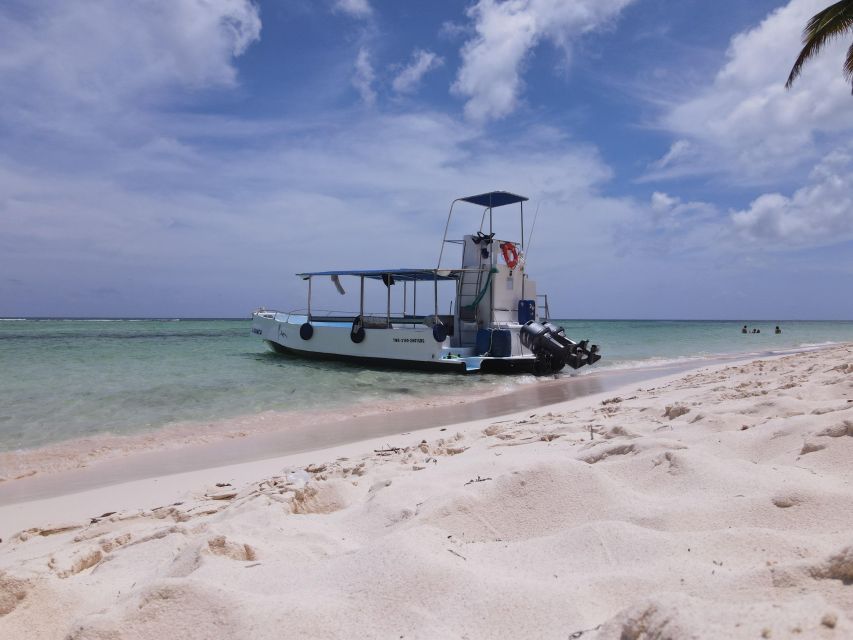 Saona Island: Beach & Natural Pool Small-Group Tour w/ Lunch - Guides, group size, and the feel of the day