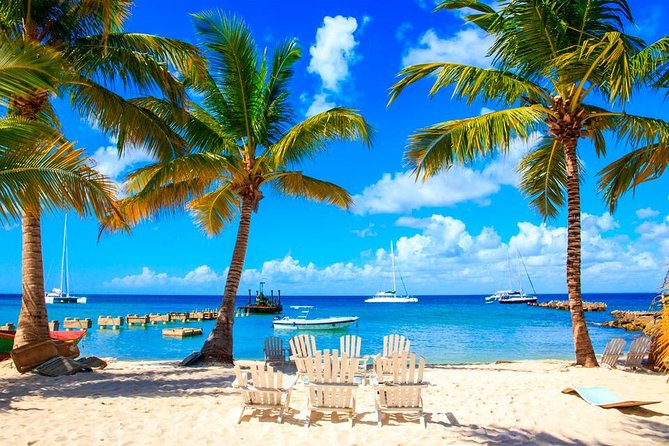 Saona Island by Paradise Travel - Key points to know before you book