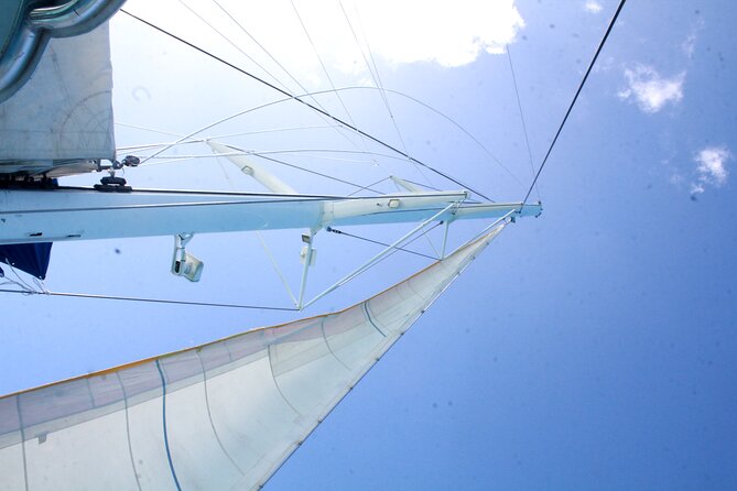 Saona Island by Paradise Travel - Two to three hours on Saona Island