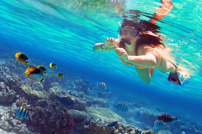 Saona Island by Paradise Travel - What the $80 price really covers