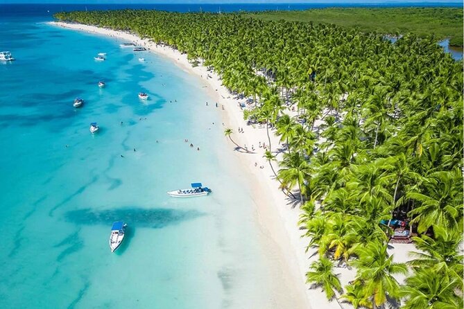 Saona Island Caramaran Adventure from Punta Cana With Lunch - Three and a half hours on Saona Island