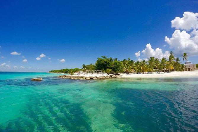 Saona Island Catamaran Cruise Experience (All Inclusive) - Saona Island gives you a real change of scene