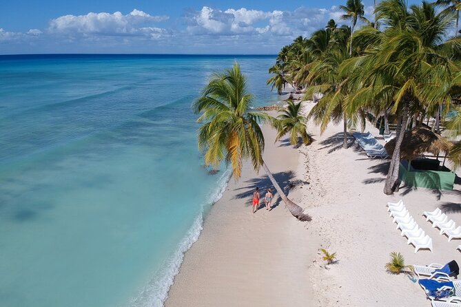 Saona Island Catamaran Cruise Experience (All Inclusive) - Snorkeling and the natural ocean pool
