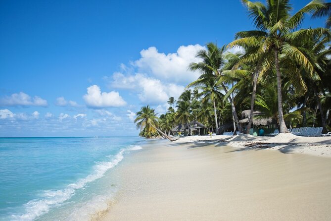Saona Island Catamaran Cruise Experience (All Inclusive) - Lunch and the all-inclusive value