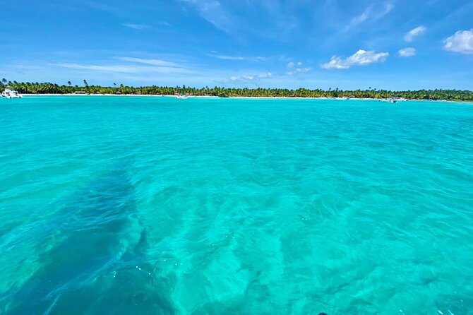 Saona Island Catamaran Cruise Experience (All Inclusive) - Where the day can feel unorganized