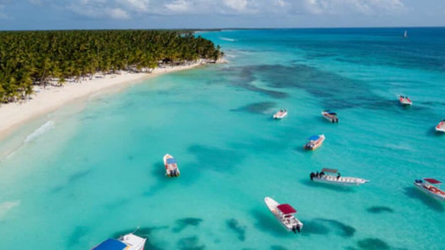 Saona Island: Catamaran Excursion with Lunch and Drinks - Should you book Saona Island with Punta Ca Tours?