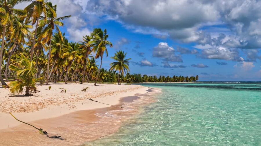 Saona Island: Catamaran Excursion with Lunch and Drinks - Catamaran or speedboat, with music turned up