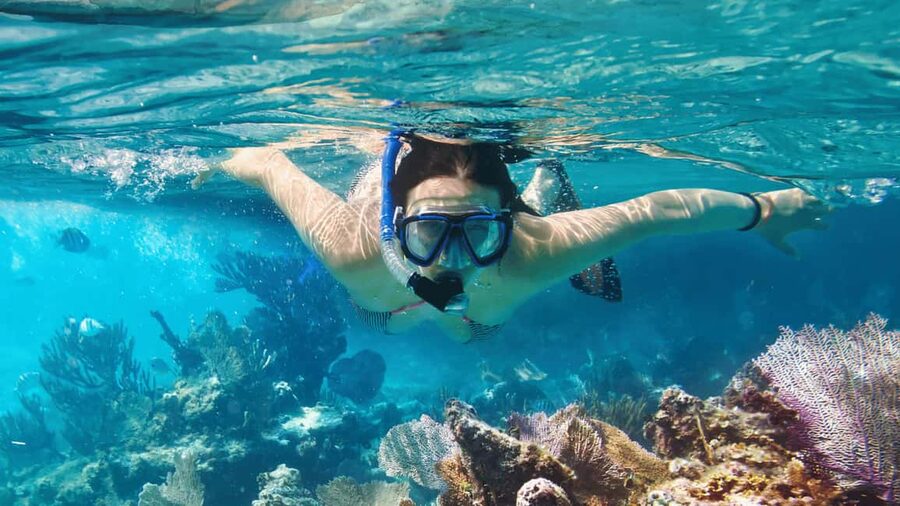 Saona Island: Catamaran Excursion with Lunch and Drinks - How much island time will you really get?