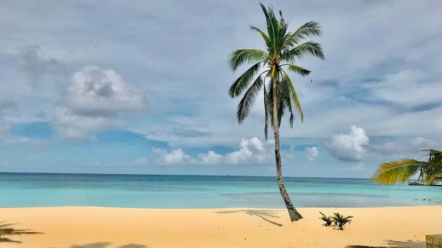Saona Island: Catamaran Excursion with Lunch and Drinks - Who will enjoy this boat trip most?