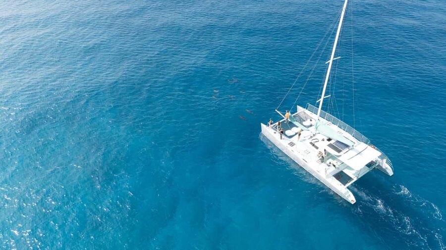 Saona Island: Catamaran Excursion with Lunch and Drinks - Practical ways to make the day better
